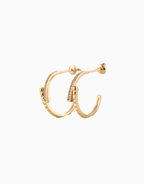 Crescent Sparkle Earrings