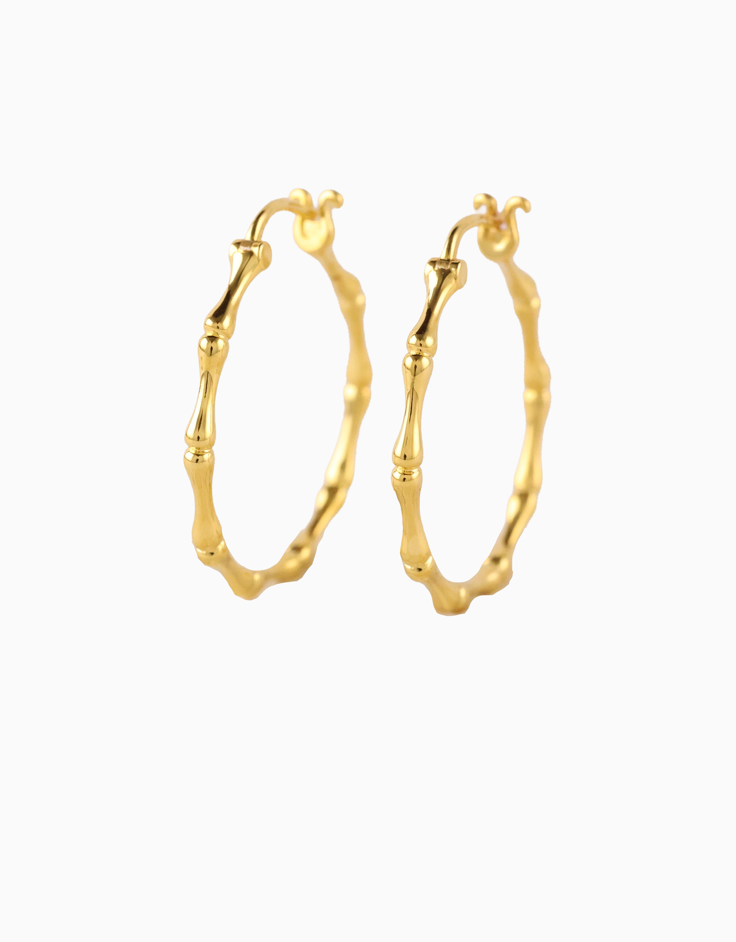 Aria Hoops