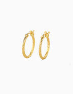 Avi Hoops