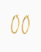 Avi Hoops