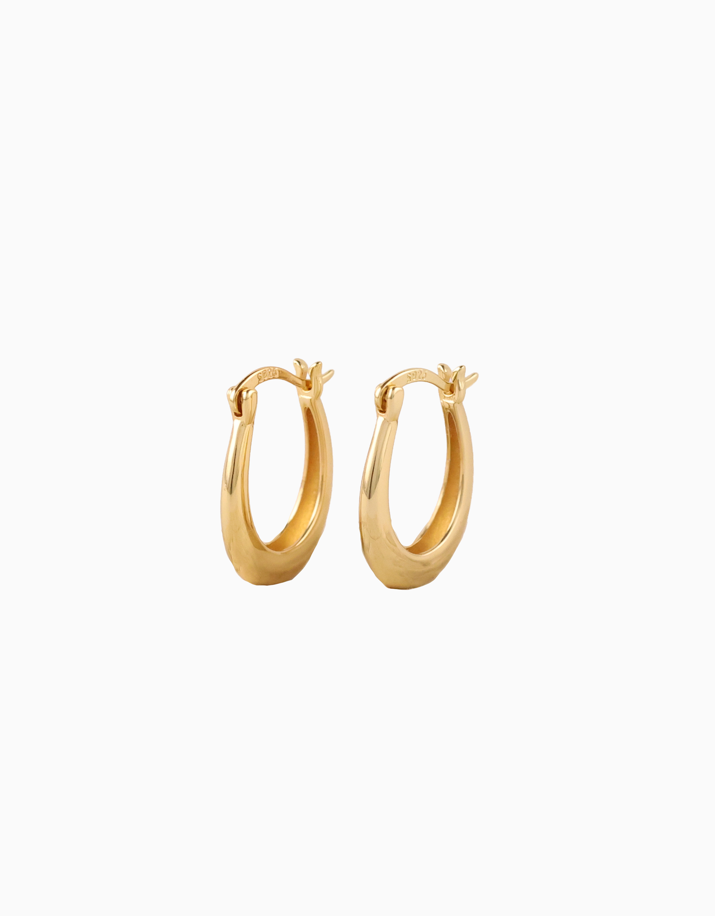 Ralivra Earrings