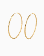 Irelle Gold Hoops